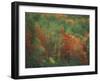 Colorful Fall Reflections in a Pond, Maine, USA-Jerry & Marcy Monkman-Framed Photographic Print