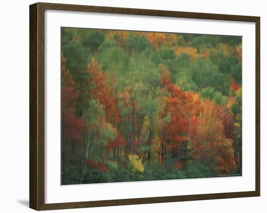 Colorful Fall Reflections in a Pond, Maine, USA-Jerry & Marcy Monkman-Framed Photographic Print