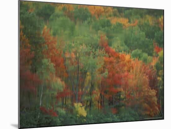 Colorful Fall Reflections in a Pond, Maine, USA-Jerry & Marcy Monkman-Mounted Photographic Print