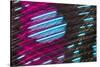 Colorful feather pattern.-Adam Jones-Stretched Canvas