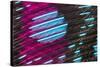Colorful feather pattern.-Adam Jones-Stretched Canvas