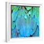 Colorful Feathers, Harlequin Macaw Feathers Background Texture-Panu Ruangjan-Framed Premium Photographic Print