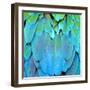 Colorful Feathers, Harlequin Macaw Feathers Background Texture-Panu Ruangjan-Framed Photographic Print