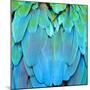 Colorful Feathers, Harlequin Macaw Feathers Background Texture-Panu Ruangjan-Mounted Photographic Print