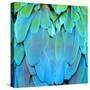 Colorful Feathers, Harlequin Macaw Feathers Background Texture-Panu Ruangjan-Stretched Canvas