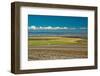 Colorful fields and wind turbines, Gilliam County, Oregon, USA-Michel Hersen-Framed Photographic Print