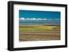 Colorful fields and wind turbines, Gilliam County, Oregon, USA-Michel Hersen-Framed Photographic Print