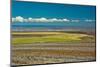 Colorful fields and wind turbines, Gilliam County, Oregon, USA-Michel Hersen-Mounted Photographic Print