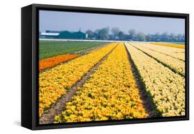 Colorful Fields with Small Tulips-Colette2-Framed Stretched Canvas