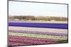 Colorful Fields-Frouwina H. van Hateren-Mounted Photographic Print