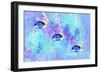 Colorful Fish 4A-Ata Alishahi-Framed Giclee Print