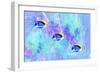 Colorful Fish 4A-Ata Alishahi-Framed Giclee Print