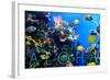 Colorful Fish and Coral - Aloha-Lantern Press-Framed Art Print