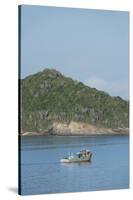 Colorful Fishing Boat Off the Coast of Buzios, Rio De Janeiro, Brazil-Cindy Miller Hopkins-Stretched Canvas