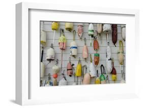 Colorful Fishing Floats, Block Island, Rhode Island, USA-Cindy Miller Hopkins-Framed Photographic Print