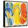 Colorful Flip Flops-Mary Escobedo-Framed Stretched Canvas