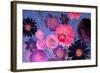 Colorful Floral Design-Alaya Gadeh-Framed Photographic Print