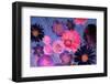 Colorful Floral Design-Alaya Gadeh-Framed Photographic Print