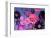 Colorful Floral Design-Alaya Gadeh-Framed Photographic Print