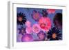 Colorful Floral Design-Alaya Gadeh-Framed Photographic Print