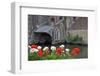 Colorful flower and old brick building, Bruges, Belgium-Susan Pease-Framed Photographic Print