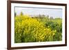 Colorful Flowering Field Mustard-Ruud Morijn-Framed Photographic Print