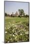 Colorful Flowers Bloom in the Garden Chahar Bagh-Roberto Moiola-Mounted Photographic Print