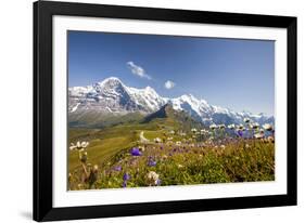 Colorful flowers framing Mount Eiger Mannlichen Grindelwald Bernese Oberland Canton of Berne Switze-ClickAlps-Framed Photographic Print