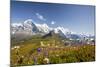 Colorful flowers framing Mount Eiger Mannlichen Grindelwald Bernese Oberland Canton of Berne Switze-ClickAlps-Mounted Photographic Print