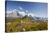 Colorful flowers framing Mount Eiger Mannlichen Grindelwald Bernese Oberland Canton of Berne Switze-ClickAlps-Stretched Canvas