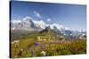 Colorful flowers framing Mount Eiger Mannlichen Grindelwald Bernese Oberland Canton of Berne Switze-ClickAlps-Stretched Canvas