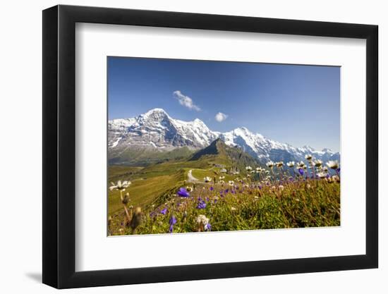 Colorful flowers framing Mount Eiger Mannlichen Grindelwald Bernese Oberland Canton of Berne Switze-ClickAlps-Framed Photographic Print