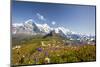 Colorful flowers framing Mount Eiger Mannlichen Grindelwald Bernese Oberland Canton of Berne Switze-ClickAlps-Mounted Photographic Print