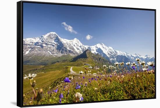 Colorful flowers framing Mount Eiger Mannlichen Grindelwald Bernese Oberland Canton of Berne Switze-ClickAlps-Framed Stretched Canvas