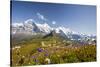 Colorful flowers framing Mount Eiger Mannlichen Grindelwald Bernese Oberland Canton of Berne Switze-ClickAlps-Stretched Canvas