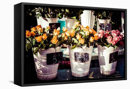 Colorful Flowers in A Flower Shop on A Market-Curioso Travel Photography-Framed Stretched Canvas