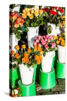 Colorful Flowers in A Flower Shop on A Market-Curioso Travel Photography-Stretched Canvas