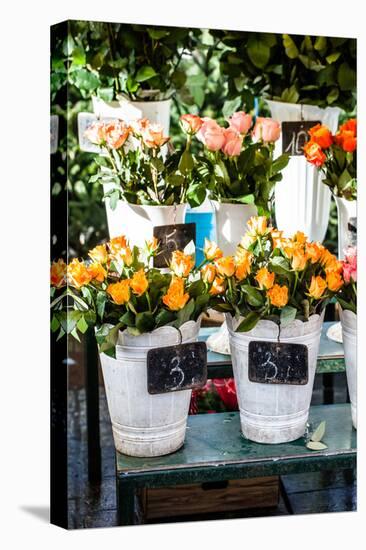 Colorful Flowers in A Flower Shop on A Market-Curioso Travel Photography-Stretched Canvas