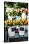 Colorful Flowers in A Flower Shop on A Market-Curioso Travel Photography-Stretched Canvas