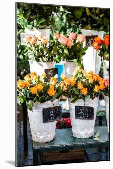 Colorful Flowers in A Flower Shop on A Market-Curioso Travel Photography-Mounted Photographic Print