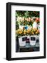 Colorful Flowers in A Flower Shop on A Market-Curioso Travel Photography-Framed Photographic Print