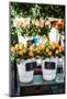 Colorful Flowers in A Flower Shop on A Market-Curioso Travel Photography-Mounted Photographic Print