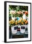 Colorful Flowers in A Flower Shop on A Market-Curioso Travel Photography-Framed Photographic Print