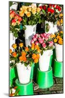 Colorful Flowers in A Flower Shop on A Market-Curioso Travel Photography-Mounted Photographic Print