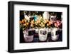 Colorful Flowers in A Flower Shop on A Market-Curioso Travel Photography-Framed Photographic Print