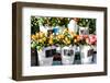 Colorful Flowers in A Flower Shop on A Market-Curioso Travel Photography-Framed Photographic Print