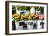 Colorful Flowers in A Flower Shop on A Market-Curioso Travel Photography-Framed Photographic Print