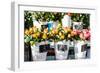 Colorful Flowers in A Flower Shop on A Market-Curioso Travel Photography-Framed Photographic Print