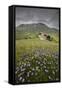 Colorful flowers in bloom frame the medieval village, Castelluccio di Norcia, Umbria, Italy-Roberto Moiola-Framed Stretched Canvas