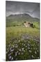 Colorful flowers in bloom frame the medieval village, Castelluccio di Norcia, Umbria, Italy-Roberto Moiola-Mounted Photographic Print